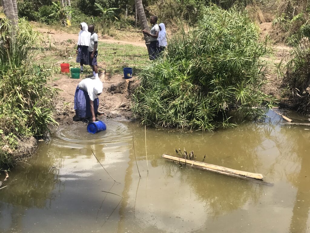ome pupils from Nahama primary school in Kilwa District fetches water at a swamp located in the village.Photo:Haika Kimaro